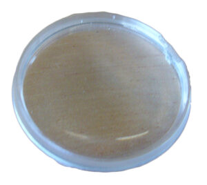 MBS-300: #29 LENS  #1217