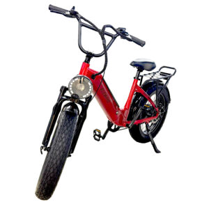 ELECTRIC BIKE: S20 FAT TYRES, LIGHT, CARRIER 10AMP